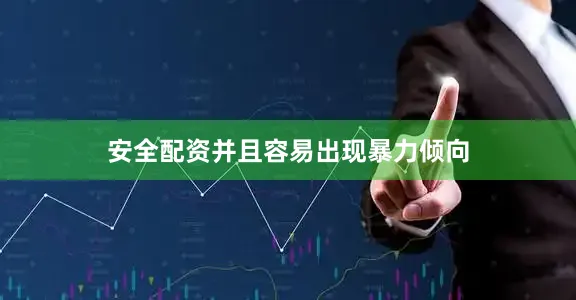 安全配资并且容易出现暴力倾向