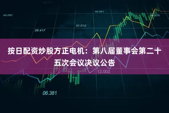 按日配资炒股方正电机：第八届董事会第二十五次会议决议公告