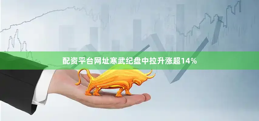 配资平台网址寒武纪盘中拉升涨超14%