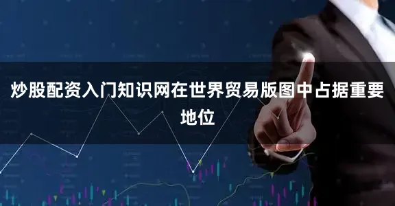 炒股配资入门知识网在世界贸易版图中占据重要地位